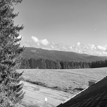 Au P'Tit Nid Douillet De Lea Apartamento Muhlbach-sur-Munster Exterior foto