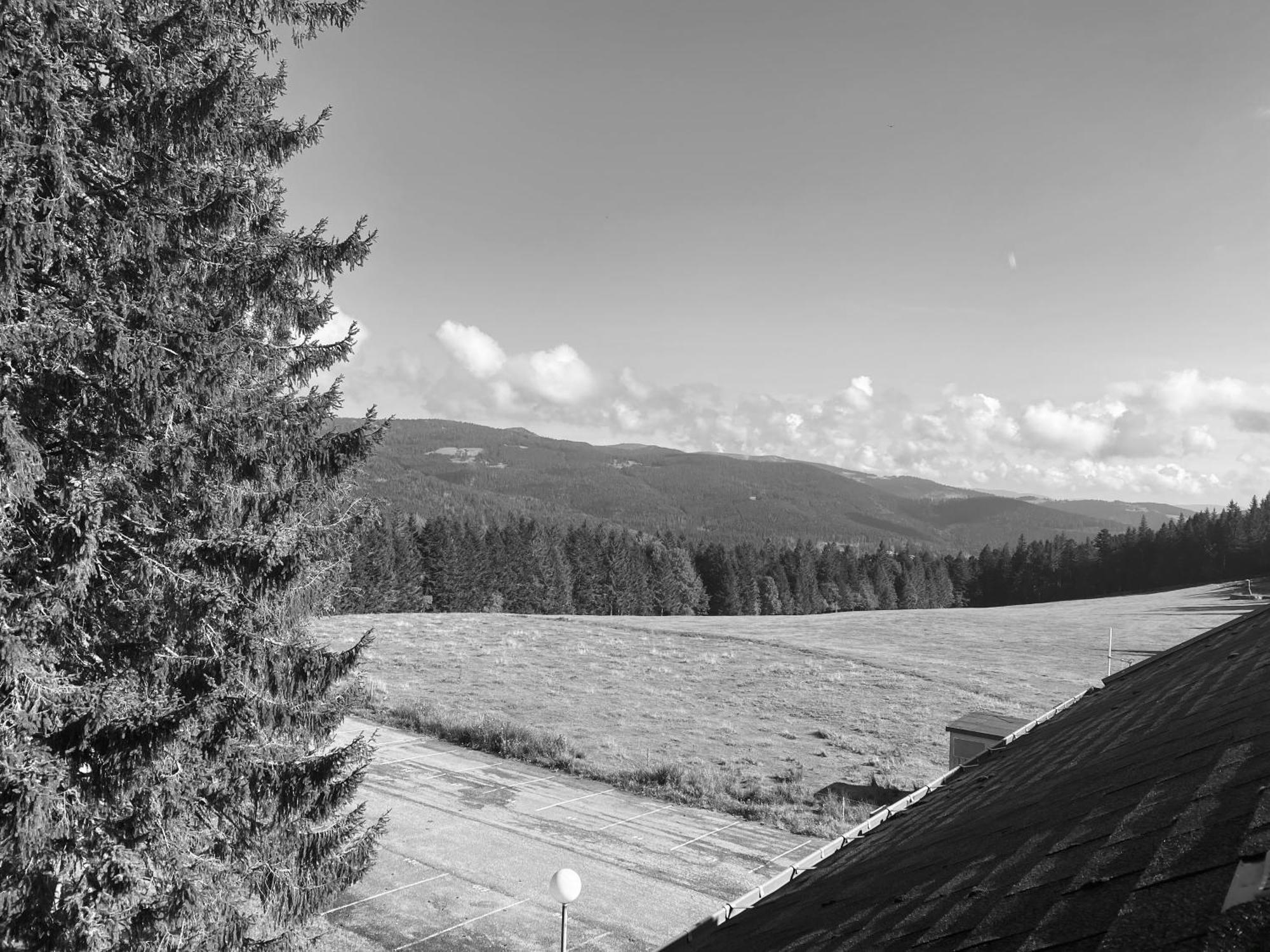 Au P'Tit Nid Douillet De Lea Apartamento Muhlbach-sur-Munster Exterior foto
