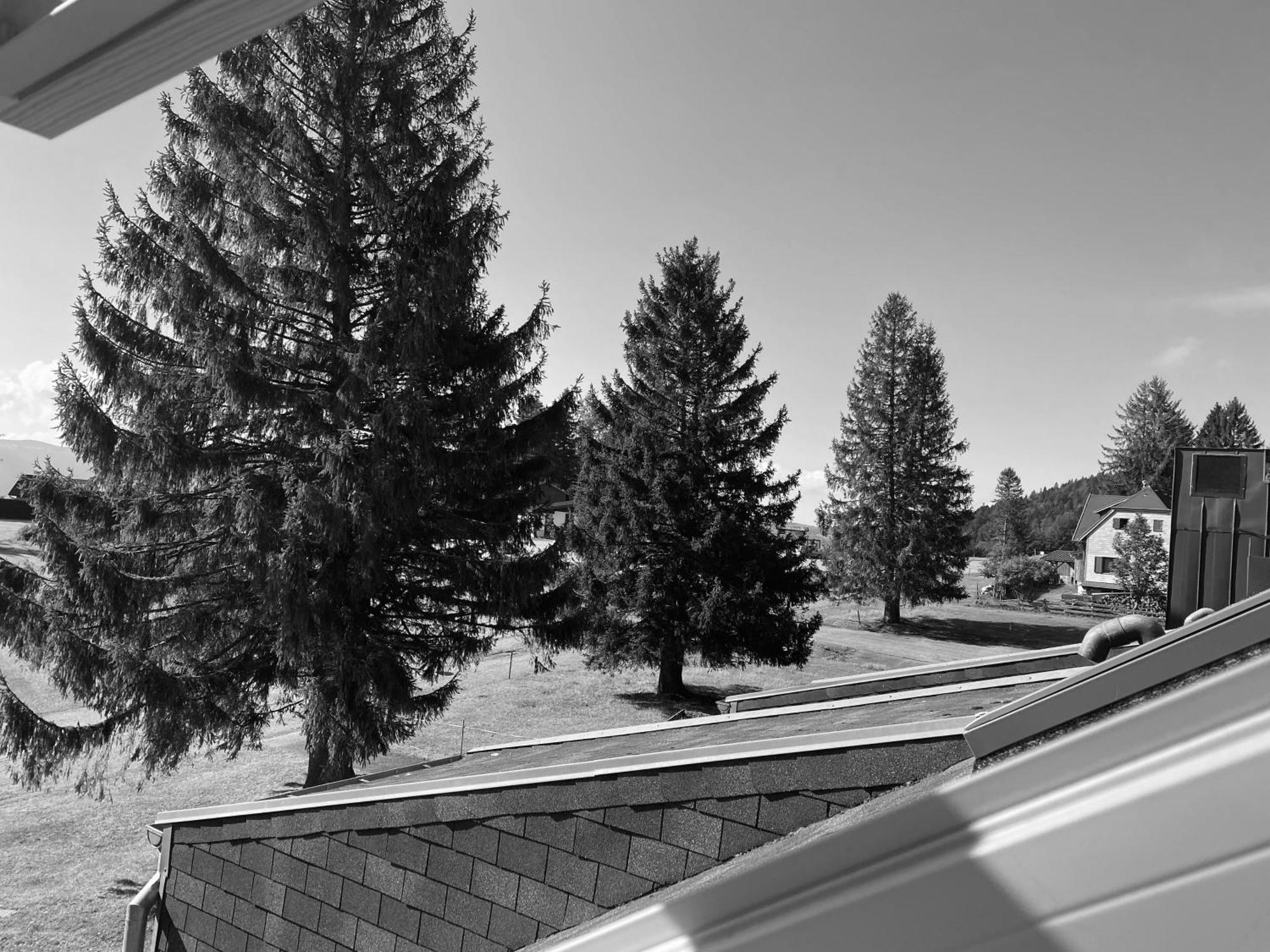 Au P'Tit Nid Douillet De Lea Apartamento Muhlbach-sur-Munster Exterior foto